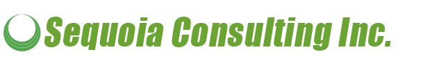 Sequois Consulting Inc Logo